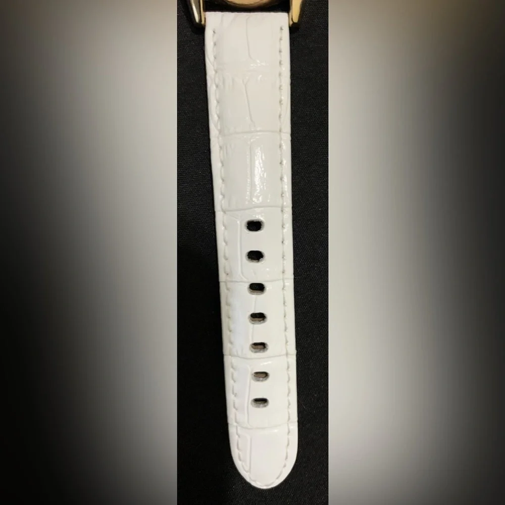 Akribos XXIV Watch - Picture 11 of 13